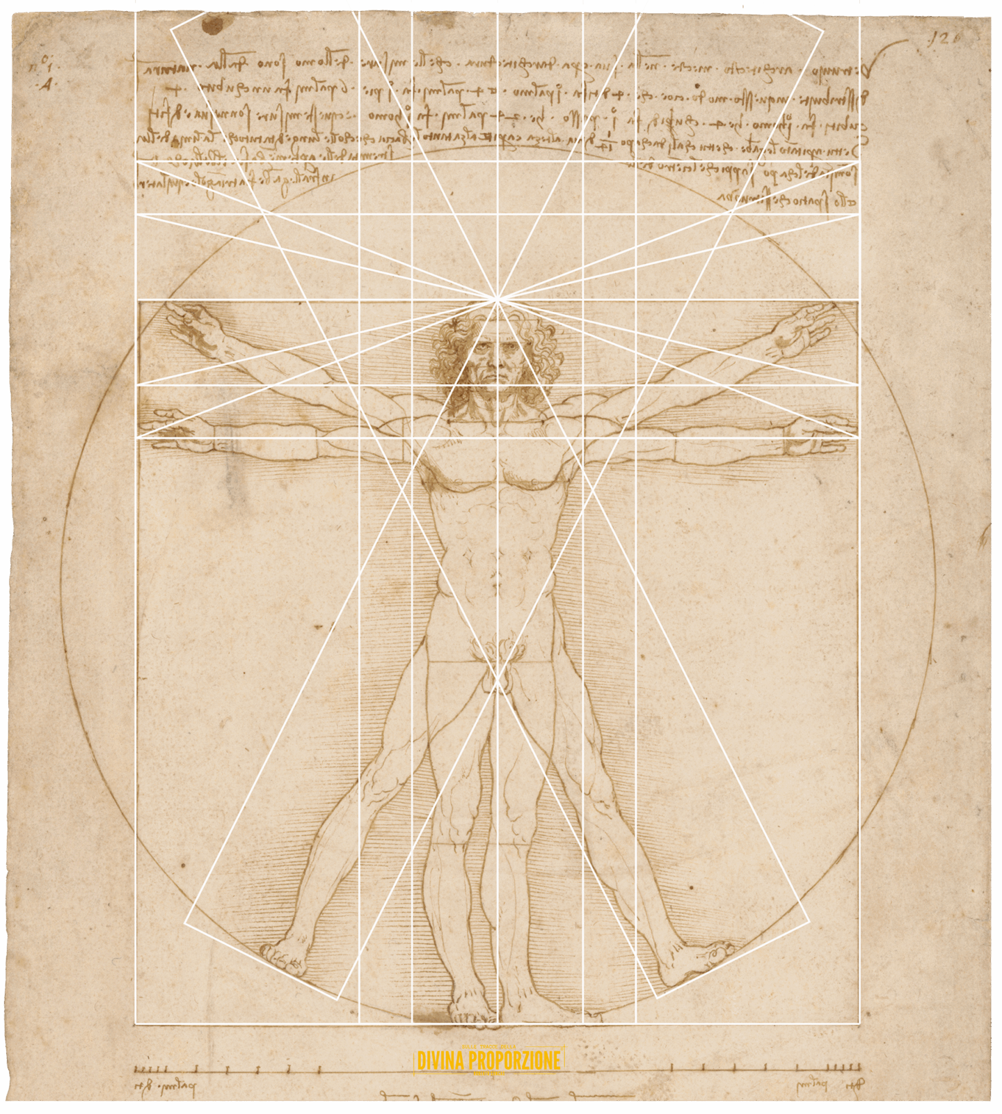 Tavola 39 uomo trinitario tutto dentro copia