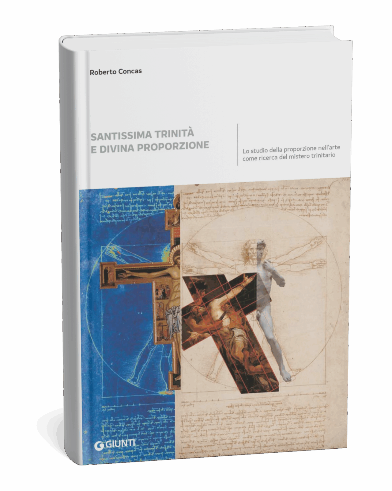 della DP rc25 mockup3